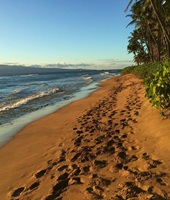 Maui Hawaii USA 40